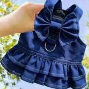 ヒメ日記 2025/08/21 02:24 投稿 一条彩香 プレジデントクラブ