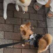 ヒメ日記 2025/08/21 09:25 投稿 一条彩香 プレジデントクラブ