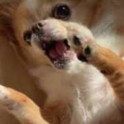 ヒメ日記 2025/08/24 01:39 投稿 一条彩香 プレジデントクラブ