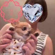 ヒメ日記 2025/08/27 07:04 投稿 一条彩香 プレジデントクラブ