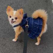 ヒメ日記 2025/08/30 07:18 投稿 一条彩香 プレジデントクラブ