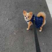 ヒメ日記 2025/09/11 07:37 投稿 一条彩香 プレジデントクラブ