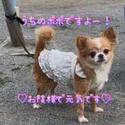 ヒメ日記 2025/09/28 07:15 投稿 一条彩香 プレジデントクラブ