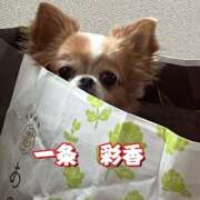 ヒメ日記 2025/10/23 09:26 投稿 一条彩香 プレジデントクラブ