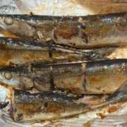 ヒメ日記 2025/10/26 09:19 投稿 一条彩香 プレジデントクラブ