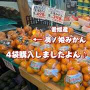 ヒメ日記 2025/11/21 06:26 投稿 一条彩香 プレジデントクラブ