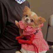 一条彩香 元気だよ！ プレジデントクラブ