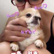 ヒメ日記 2025/12/14 01:21 投稿 一条彩香 プレジデントクラブ