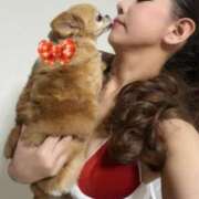 一条彩香 クリスマスのご予定は、お決まりですか？！ プレジデントクラブ