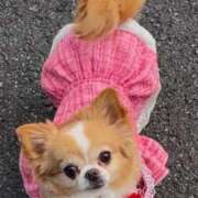 ヒメ日記 2025/12/30 02:13 投稿 一条彩香 プレジデントクラブ