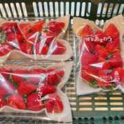 ヒメ日記 2026/01/15 06:09 投稿 一条彩香 プレジデントクラブ