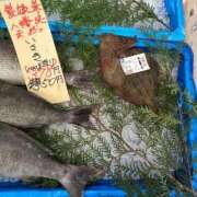 ヒメ日記 2026/01/16 20:40 投稿 一条彩香 プレジデントクラブ