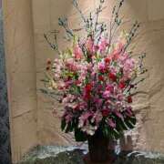 ヒメ日記 2026/02/16 07:21 投稿 一条彩香 プレジデントクラブ