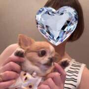 ヒメ日記 2026/04/02 07:05 投稿 一条彩香 プレジデントクラブ