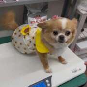 一条彩香 お久しぶりのポポですよん ♪ プレジデントクラブ