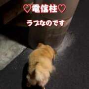 ヒメ日記 2026/09/14 00:34 投稿 一条彩香 プレジデントクラブ