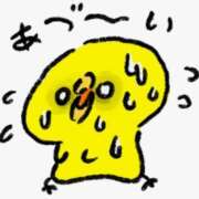 ヒメ日記 2025/08/31 14:04 投稿 三宅理恵 プレジデントクラブ