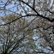 ヒメ日記 2025/11/13 20:12 投稿 三宅理恵 プレジデントクラブ