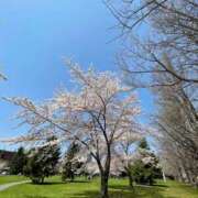 ヒメ日記 2025/05/08 21:36 投稿 南女医 病院