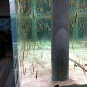 ヒメ日記 2024/12/31 03:26 投稿 中島ナース 病院