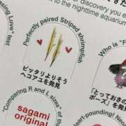 ヒメ日記 2024/12/31 05:36 投稿 中島ナース 病院