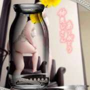 ヒメ日記 2025/09/15 13:21 投稿 立花　雪乃 人妻の秘密