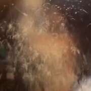 ヒメ日記 2026/04/06 09:21 投稿 立花　雪乃 人妻の秘密