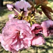 ヒメ日記 2025/04/13 15:19 投稿 杏奈奥様 母ちゃんの秘密