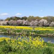 ヒメ日記 2025/04/14 09:21 投稿 杏奈奥様 母ちゃんの秘密