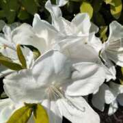 ヒメ日記 2025/05/02 10:11 投稿 杏奈奥様 母ちゃんの秘密