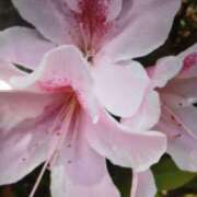 ヒメ日記 2025/05/30 02:00 投稿 杏奈奥様 母ちゃんの秘密