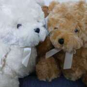 杏奈奥様 ムラムラする日 母ちゃんの秘密