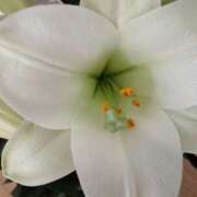 杏奈奥様 こんにちは 母ちゃんの秘密