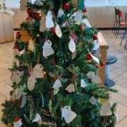 ヒメ日記 2025/12/20 15:44 投稿 杏奈奥様 母ちゃんの秘密