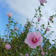 ヒメ日記 2025/12/21 11:10 投稿 杏奈奥様 母ちゃんの秘密