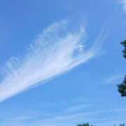 ヒメ日記 2025/12/31 10:38 投稿 杏奈奥様 母ちゃんの秘密