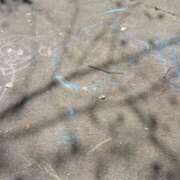 ヒメ日記 2025/12/31 17:19 投稿 杏奈奥様 母ちゃんの秘密