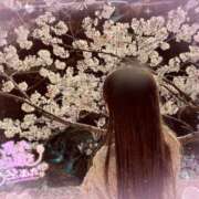 ヒメ日記 2025/04/30 22:13 投稿 ゆい La vista （ラビスタ）