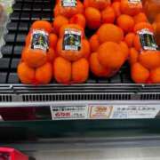 ヒメ日記 2024/12/08 22:19 投稿 望月れいか 宝石箱(すすきの)