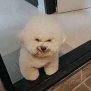 ヒメ日記 2025/01/08 06:18 投稿 望月れいか 宝石箱(すすきの)