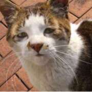 ヒメ日記 2025/02/22 12:57 投稿 望月れいか 宝石箱(すすきの)