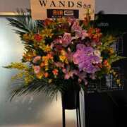 ヒメ日記 2025/04/23 12:19 投稿 望月れいか 宝石箱(すすきの)