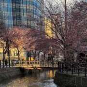 ヒメ日記 2025/04/29 12:19 投稿 望月れいか 宝石箱(すすきの)