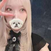 ヒメ日記 2025/06/03 15:03 投稿 望月れいか 宝石箱(すすきの)