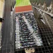 ヒメ日記 2025/06/12 20:18 投稿 望月れいか 宝石箱(すすきの)