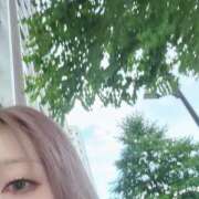 ヒメ日記 2025/07/04 11:12 投稿 望月れいか 宝石箱(すすきの)