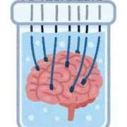 ヒメ日記 2025/07/05 12:42 投稿 望月れいか 宝石箱(すすきの)