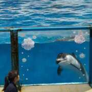 ヒメ日記 2025/07/07 12:13 投稿 望月れいか 宝石箱(すすきの)