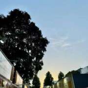 ヒメ日記 2025/09/13 12:06 投稿 望月れいか 宝石箱(すすきの)