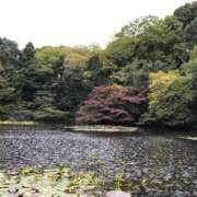 ヒメ日記 2025/10/08 15:09 投稿 望月れいか 宝石箱(すすきの)